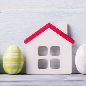 “Eggcellent” ways to secure your family, home and properties! - Altitude Capital