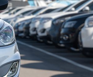 What to expect for the car market this year - Altitude Capital